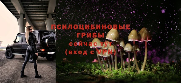 spice Ладушкин