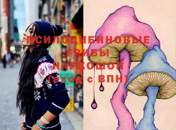 твердый Лабытнанги