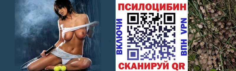 купить закладку  Новый Оскол  Галлюциногенные грибы MAGIC MUSHROOMS 